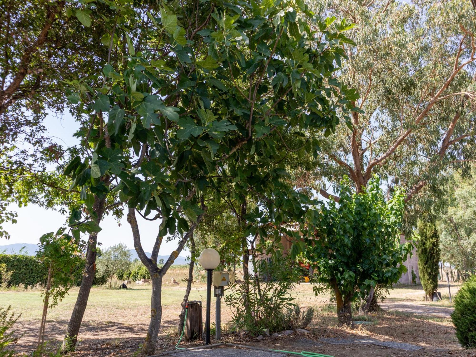 Agriturismo I Gelsi Marina Di Grosseto Extérieur photo